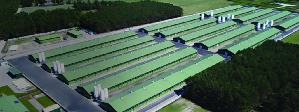 Сендвіч панелі птахокомплекс Сендвіч панелі птахокомплекс