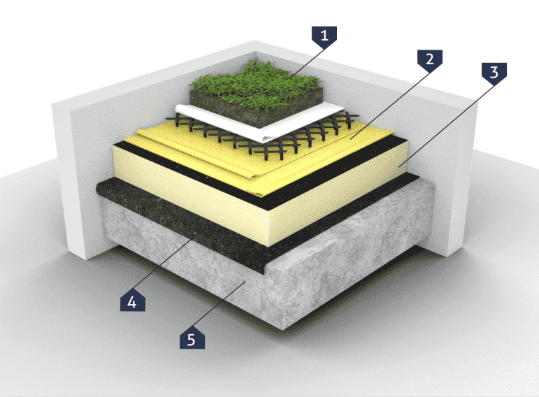 «Зеленая» крыша «Зеленая» крыша