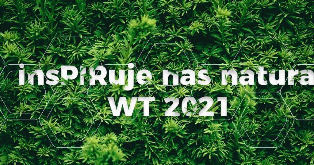 Термомодернізація та нові вимоги WT 2021 – що варто знати Термомодернізація та нові вимоги WT 2021 – що варто знати?